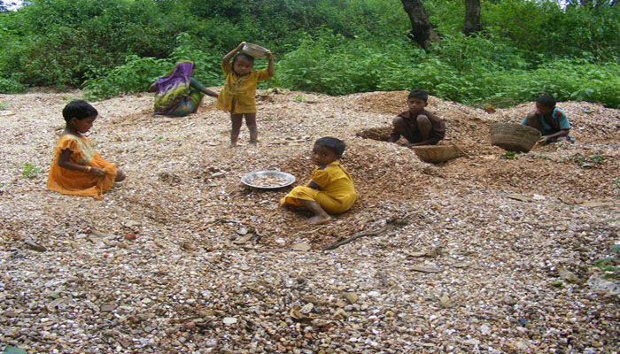 Mica production in India illegal mining Giridih Koderma Scrap dhibra