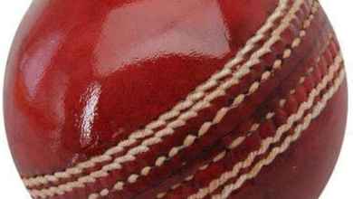 Cricket ball