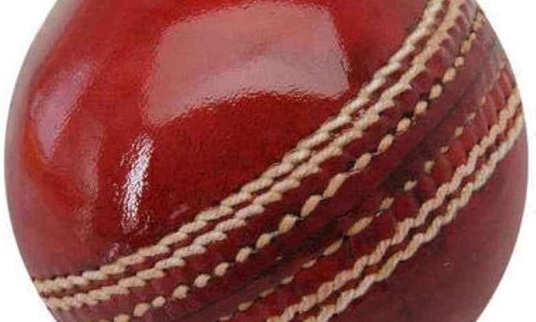 Cricket ball