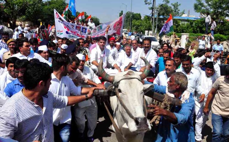 Déjà Vu for BJP as Pilot rides bullock cart to protest fuel price hike