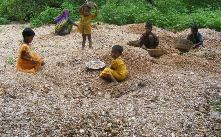 In search of sparkle: is corporate inaction on mica condemning Indian children to death?