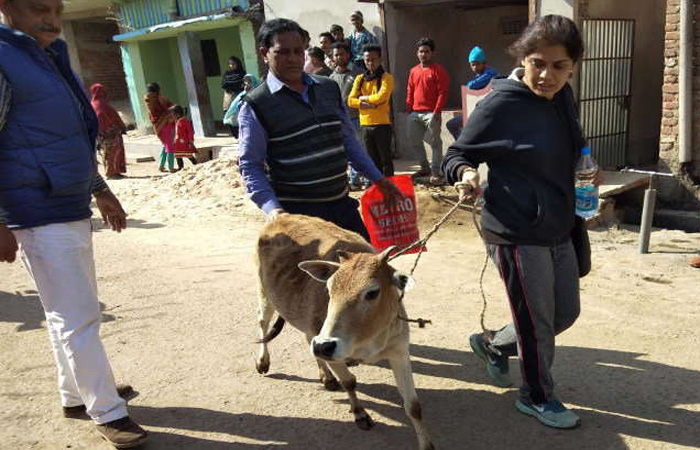 Vijaya jadhav IAS SDM Giridih