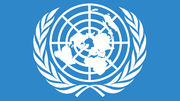 united nations UNSC Lynching Tabrez Ansari Hate Crimes