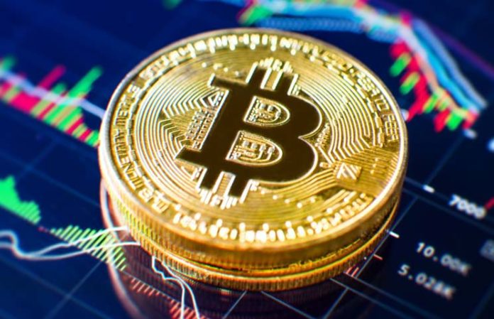 bears bitcoin btc crypto cryptocurrency cryptocurrencies