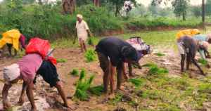 solo cyclist ankit arora cycling eco-friendly self-sustaining village organic farming Coronavirus pandemic