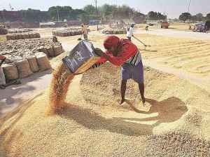 भारत में कृषि क्षेत्र का संकट खाद्य सुरक्षा