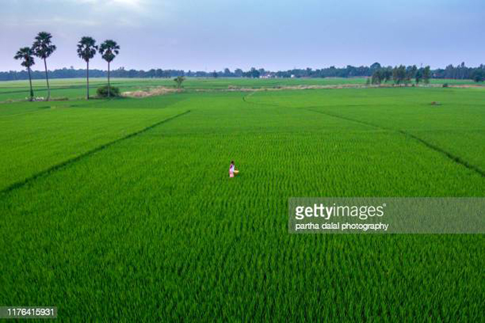 घटते भारत के खेत के आकार और बढ़ती भूख