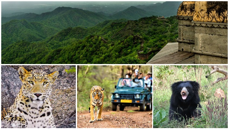 kumbhalgarh wildlife sanctuary court order