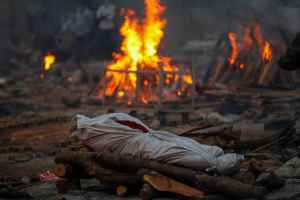 pulitzer prize award photography danish adnan amit sanna covid india reuters