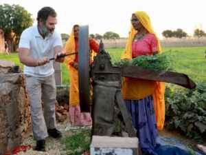 secular india bharat jodo yatra congress rahul gandhi