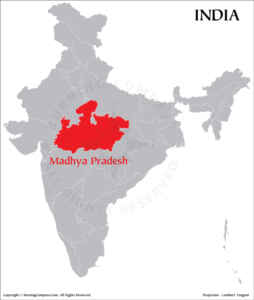 bjp congress madhya pradesh karnataka election results