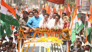 chhindwara kamal nath nakul congress bjp madhya pradesh Lok Sabha Elections 2024 Polls