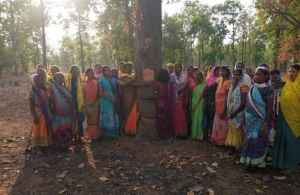 hasdeo jungle women