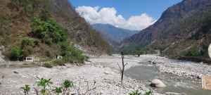 uttarakhand and environment crisis forest fire