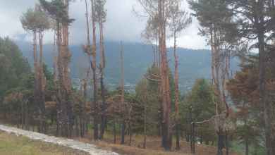 uttarakhand and environmental crisis forest fire