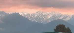 uttarakhand and environmental crisis forest fire