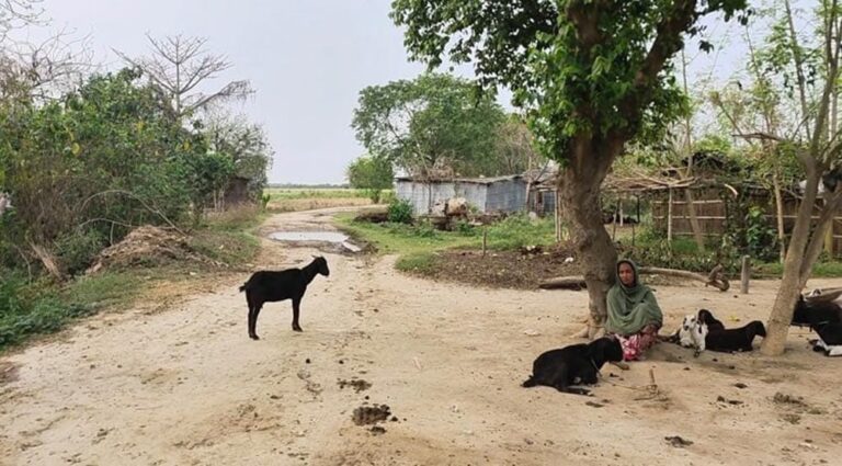 Nomads of the Border: How Life Unfolds on India-Bangladesh’s No Man’s Land