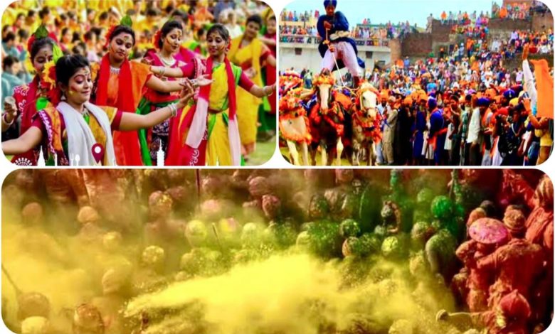 holi spring festival colours color basant Utsav