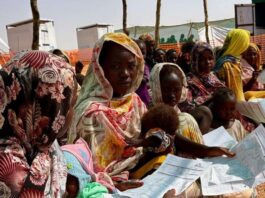 fall of el fashir sudan gulf gold uae rsf darfur