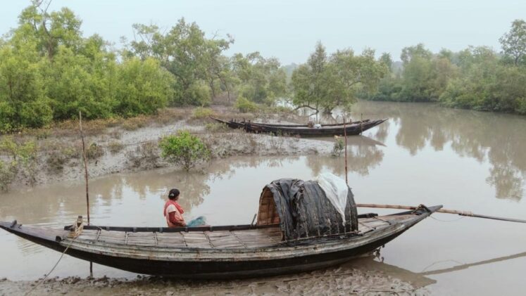 microplastics migration mangroves aliah university research climate risks sundarbans threat